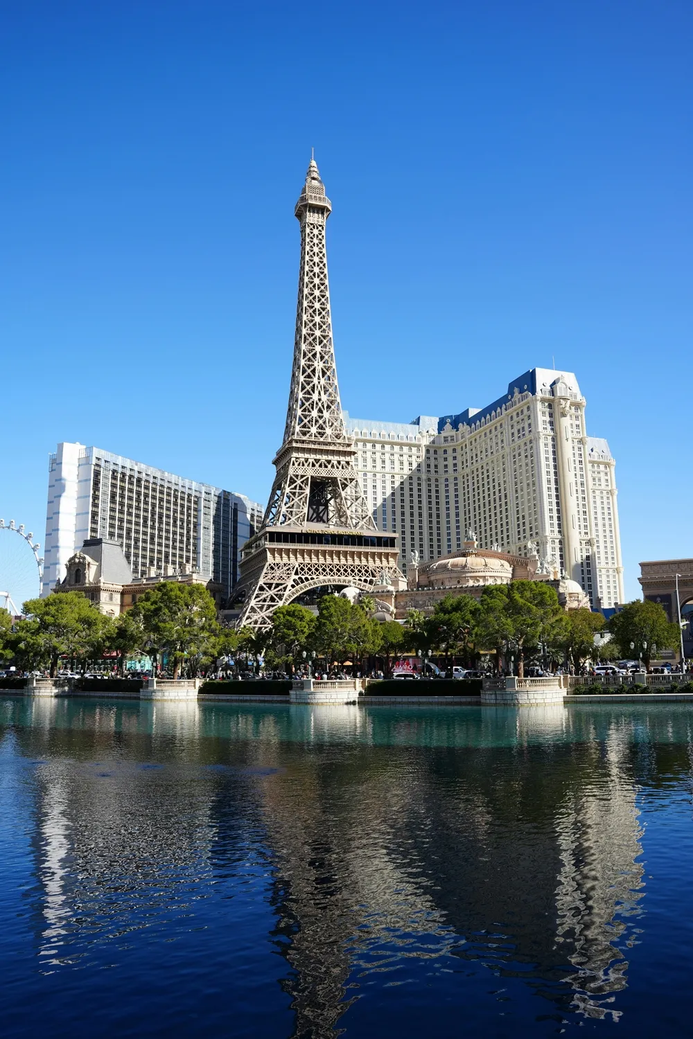 라스베이거스 카지노 문화 설명: 반드시 알아야 할 15가지 핵심 포인트